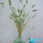 Blusunset بيت للعطل *