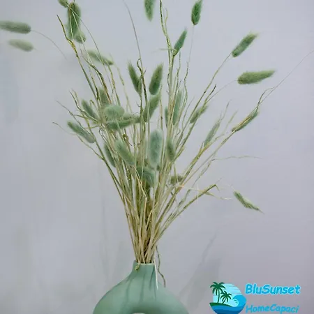 Blusunset Casa de Férias *