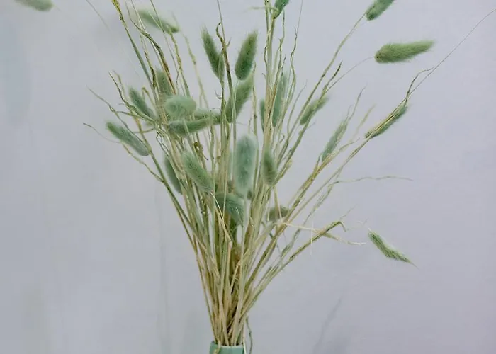 Blusunset Сasa de vacaciones *